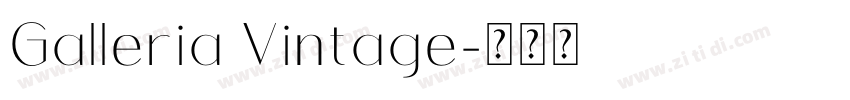 Galleria Vintage字体转换